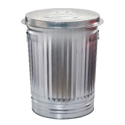 31-Gallon Galvanized Steel Trash Can with Lid A5145