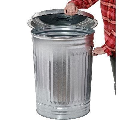 31-Gallon Galvanized Steel Trash Can with Lid A5145