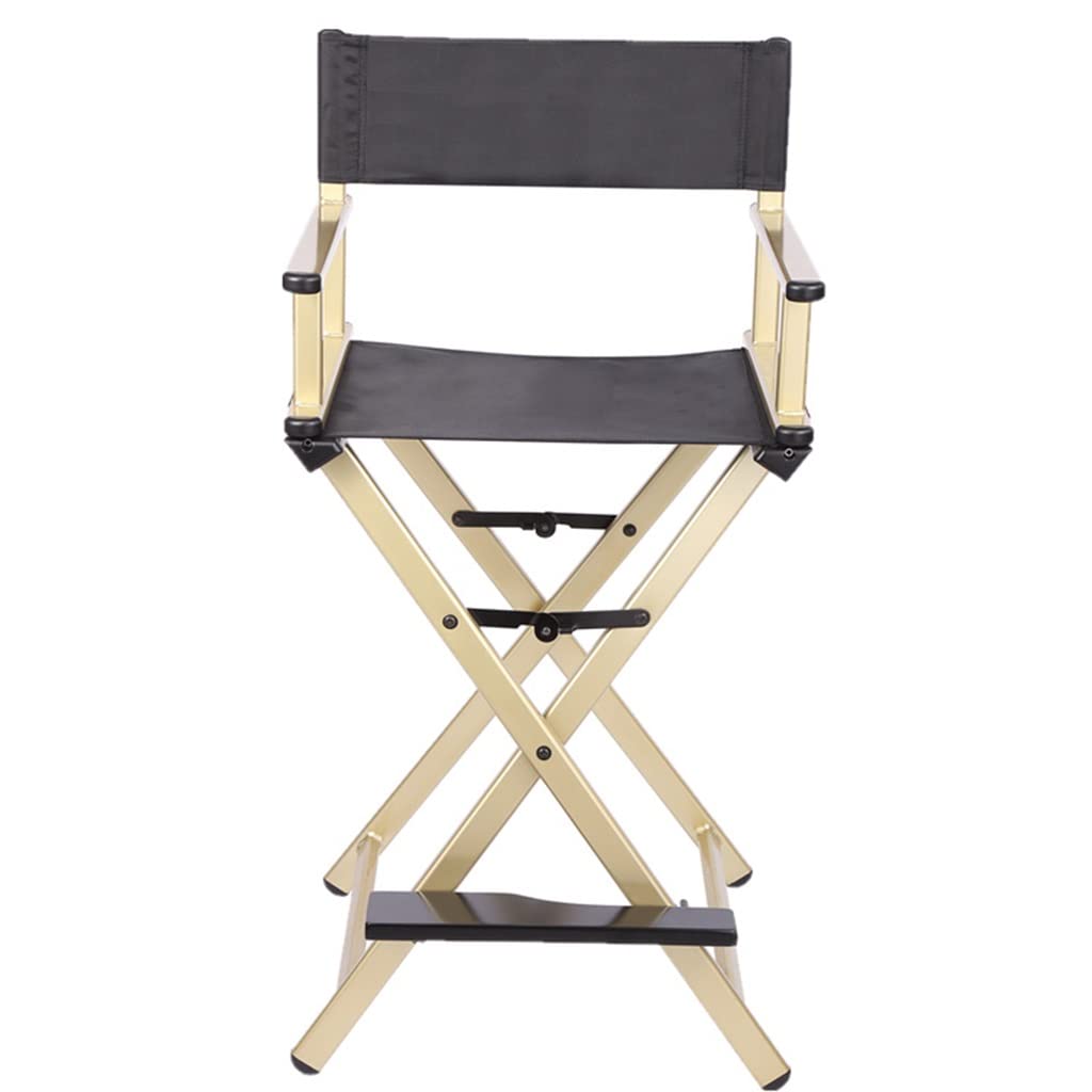 Folding Aluminum Director's Chair Y885