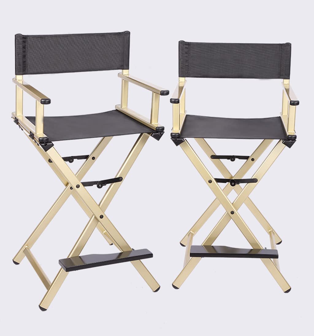 Folding Aluminum Director's Chair Y885