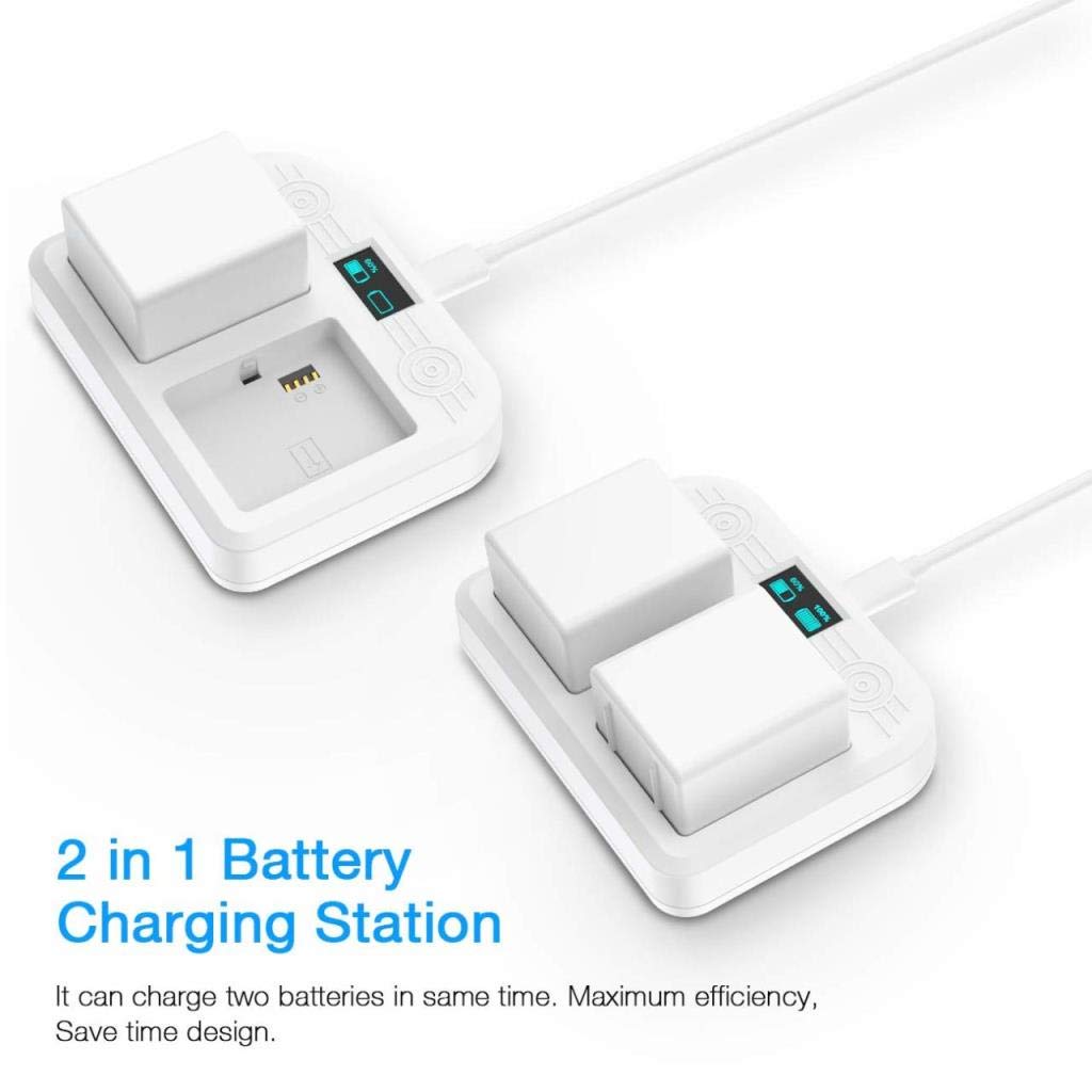Battery Charger Station P8563