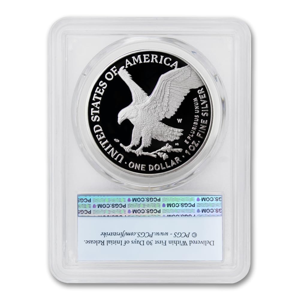 1 oz American Silver Eagle Proof Coin B1875