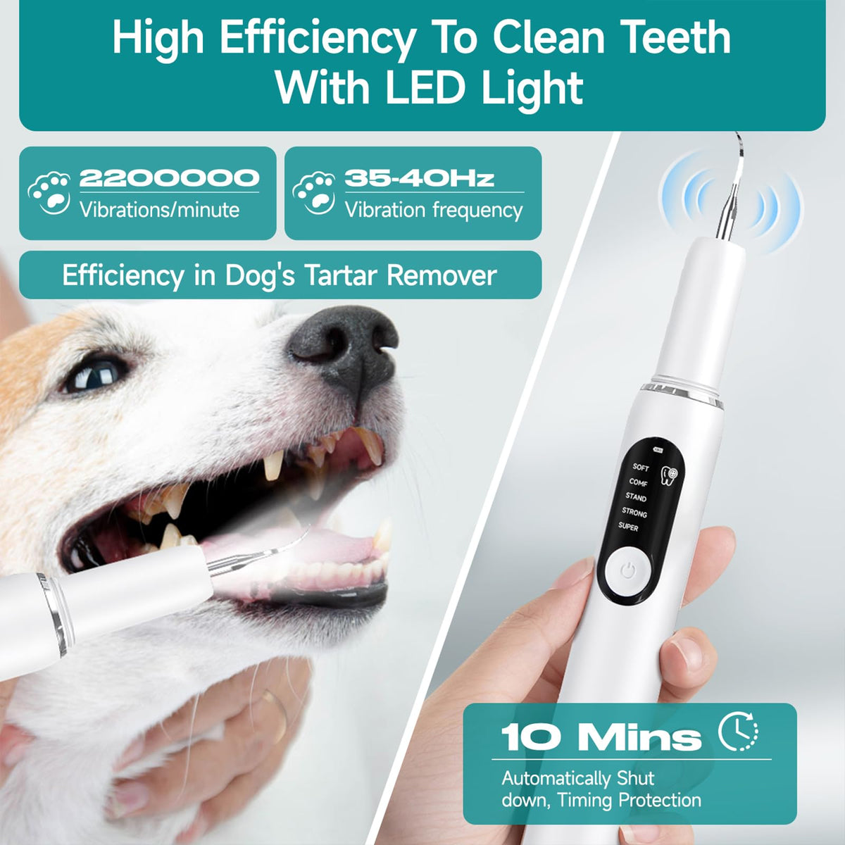White Dog Teeth Cleaning Kit with LED Light L691