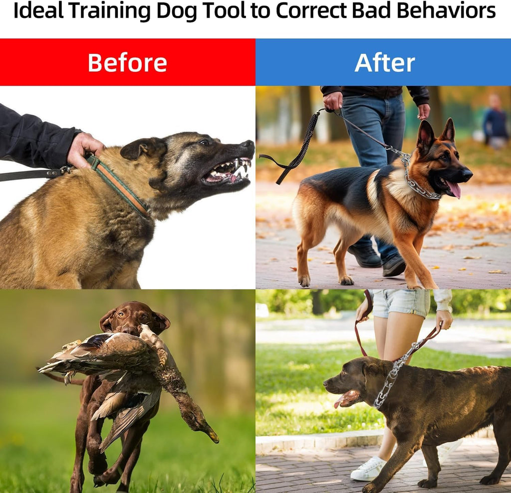 Stainless Steel Adjustable Dog Training Collar P8942