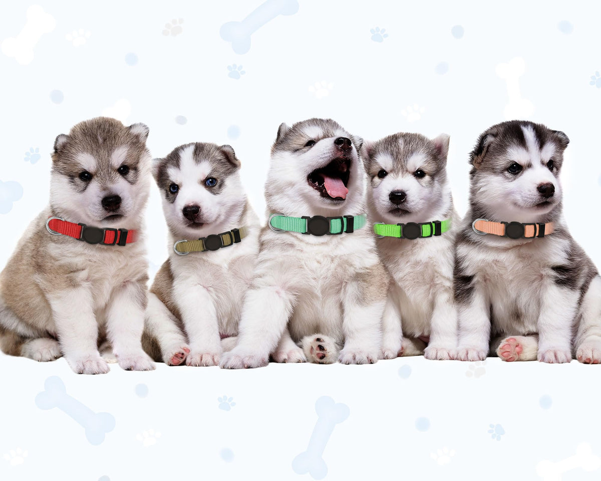 20 PCS Nylon Breakaway Puppy Collars U7961