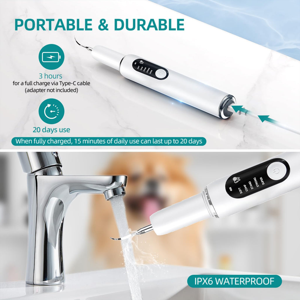 White Dog Teeth Cleaning Kit with LED Light L691