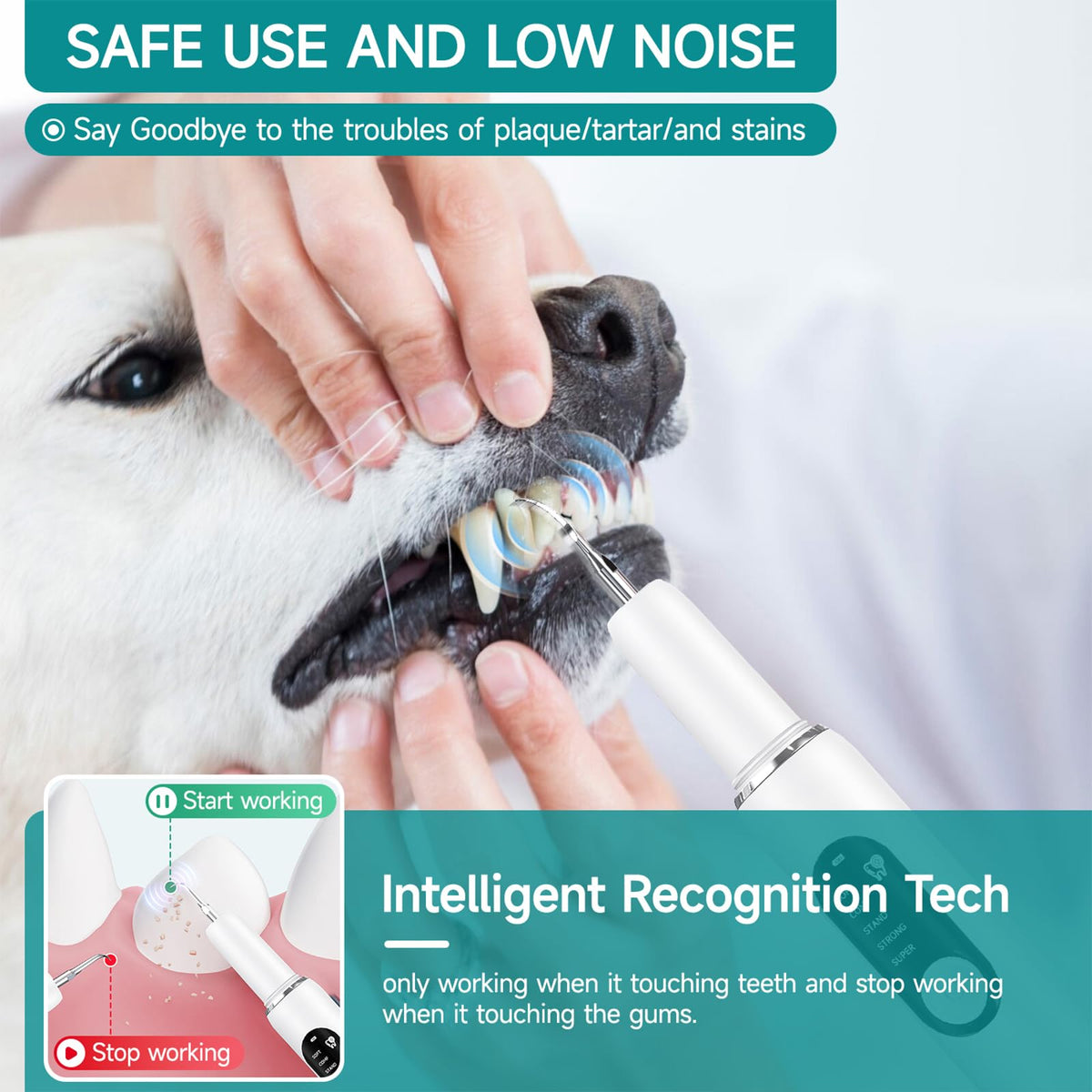 White Dog Teeth Cleaning Kit with LED Light L691