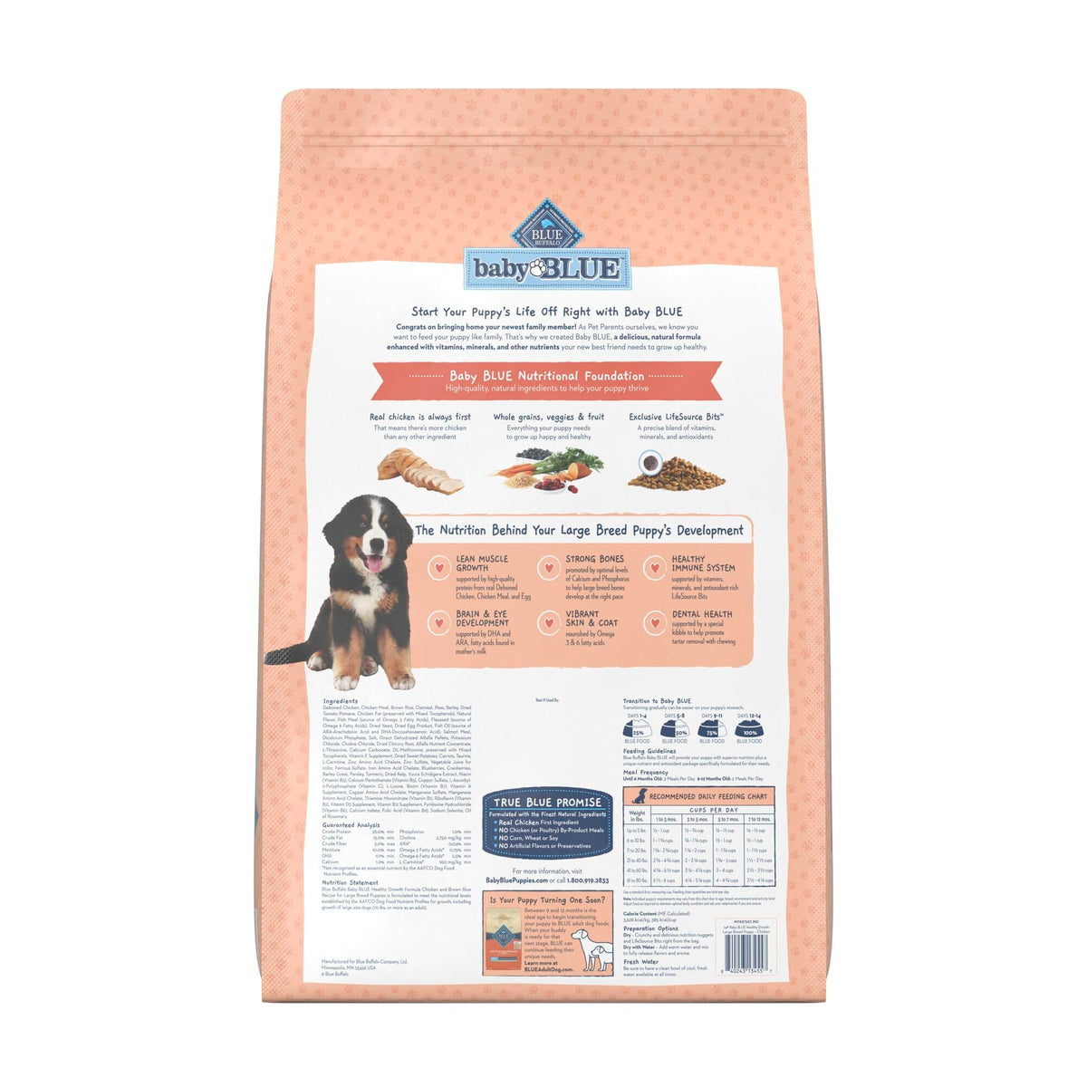 Large Breed Puppy Dry Dog Food Chicken and Brown Rice 24-lb Bag B727