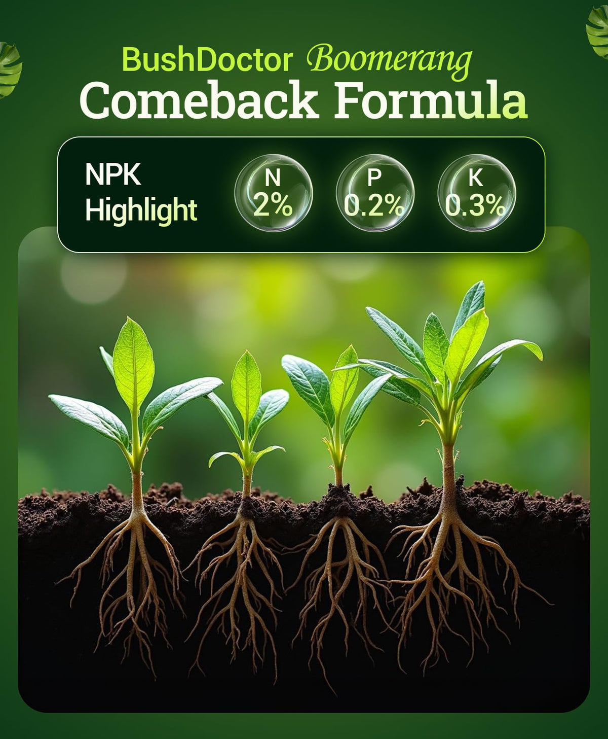 Liquid Plant Fertilizer 1 Pint P639