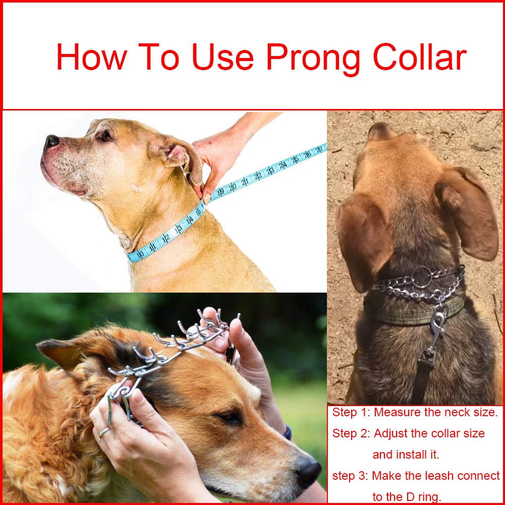 Stainless Steel Adjustable Dog Training Collar P8942