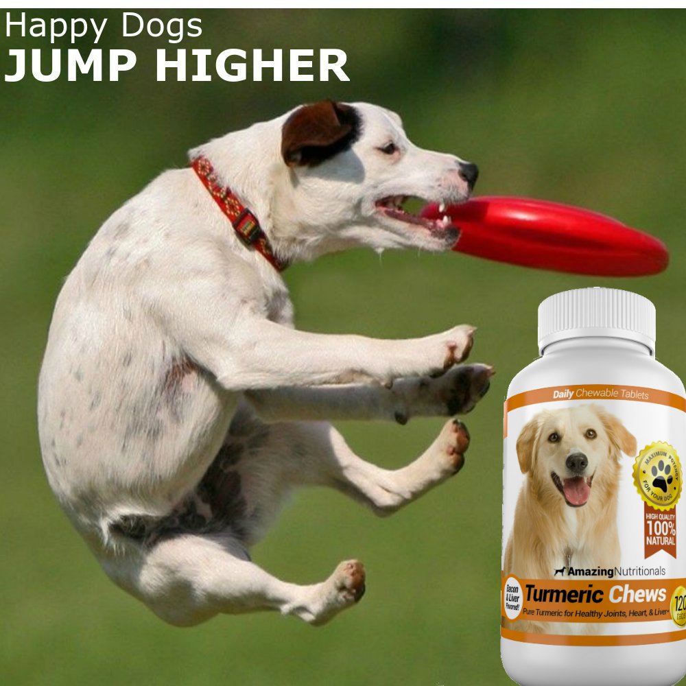 120 Chews Turmeric Curcumin Pet Antioxidant O223