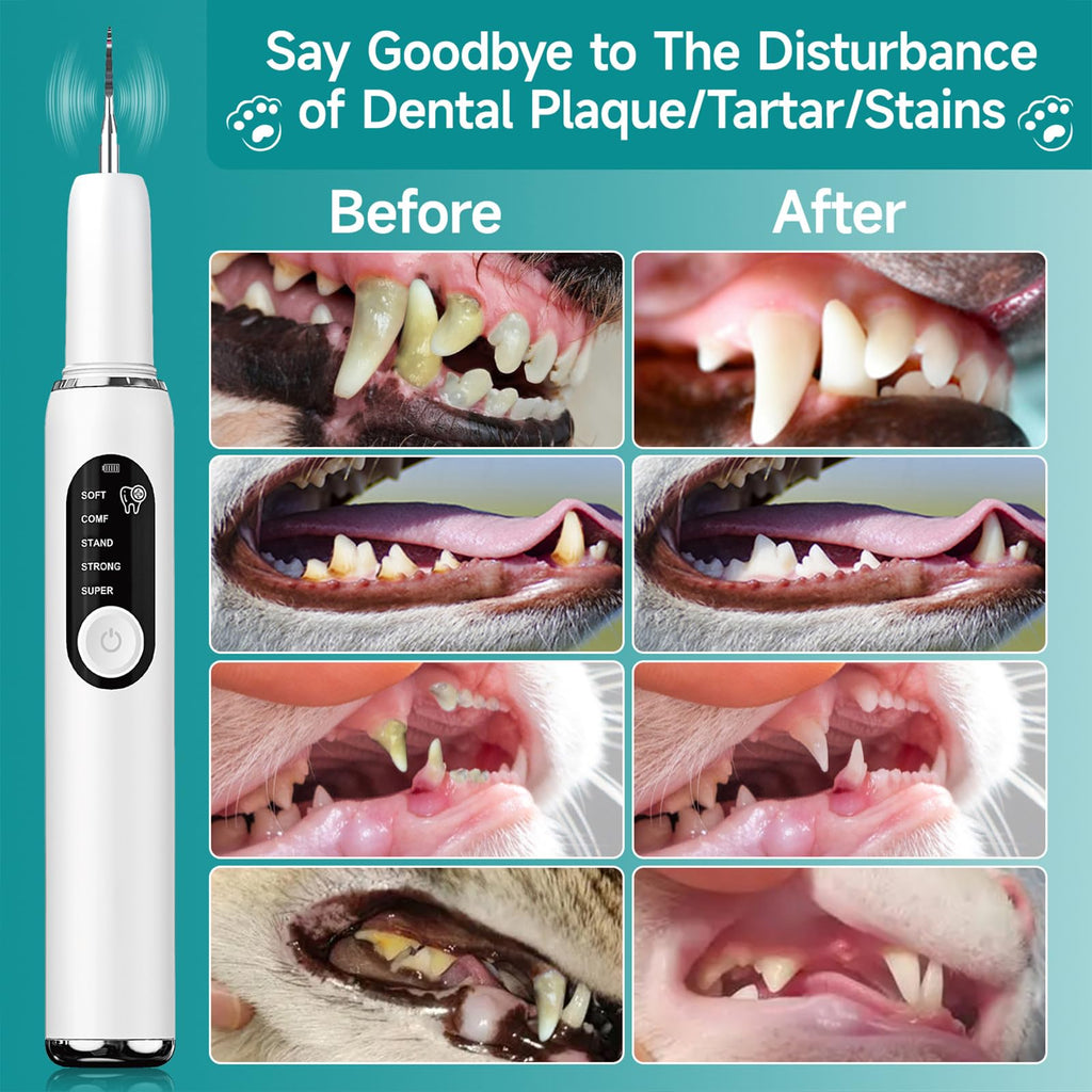 White Dog Teeth Cleaning Kit with LED Light L691
