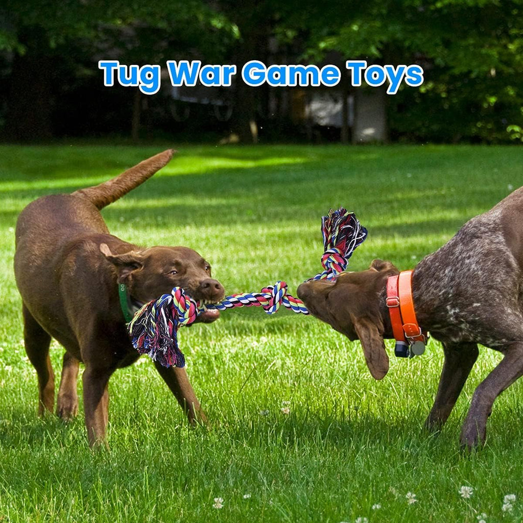 Dog Rope Toys T334