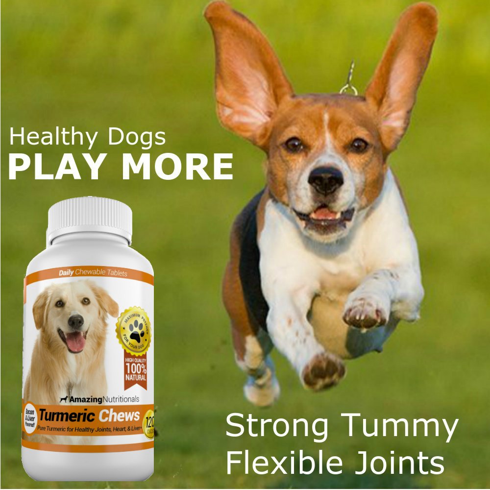 120 Chews Turmeric Curcumin Pet Antioxidant O223