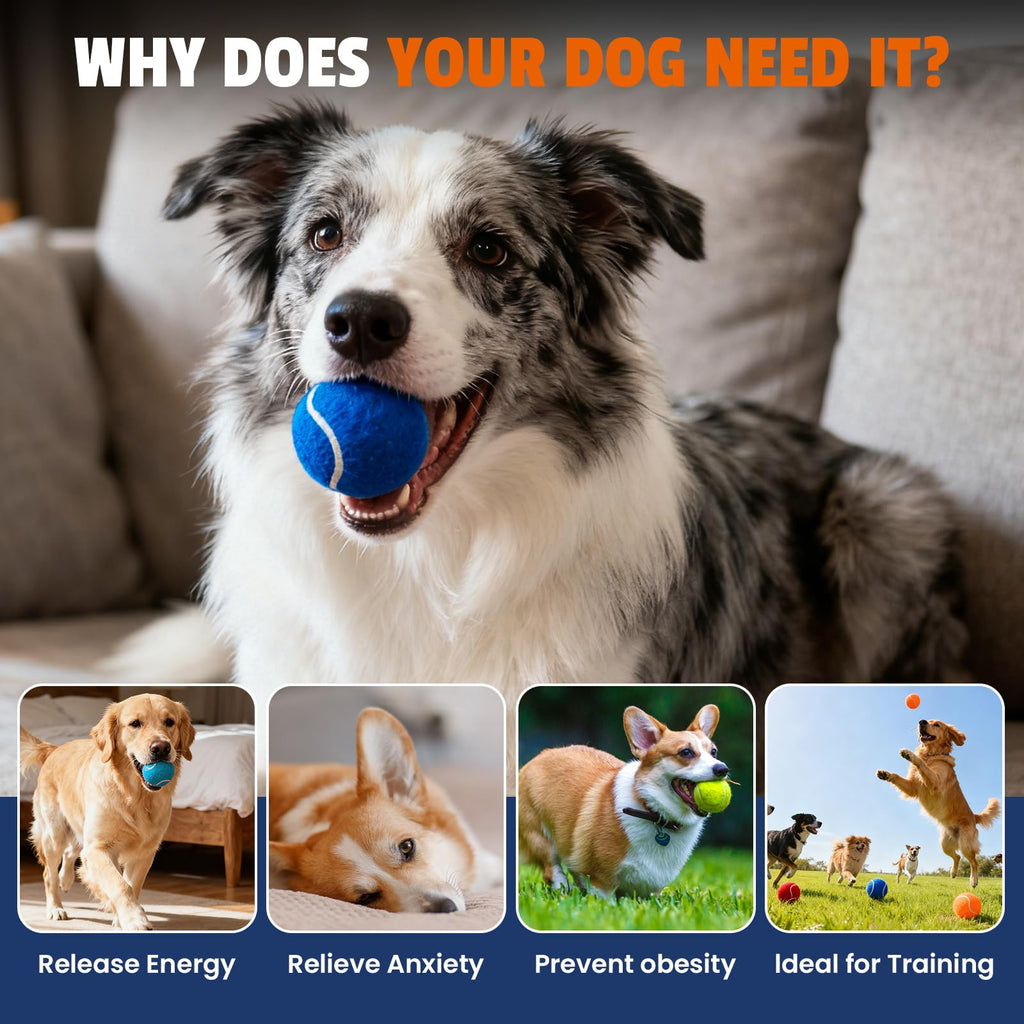 Colorful Tennis Balls for Dogs, 2.5 inches, 16 Pack R71888