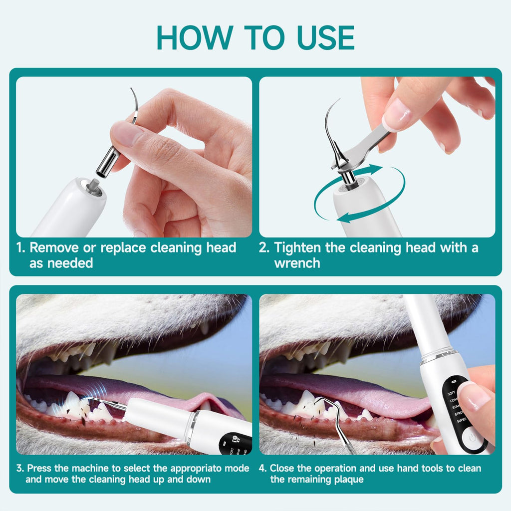 White Dog Teeth Cleaning Kit with LED Light L691