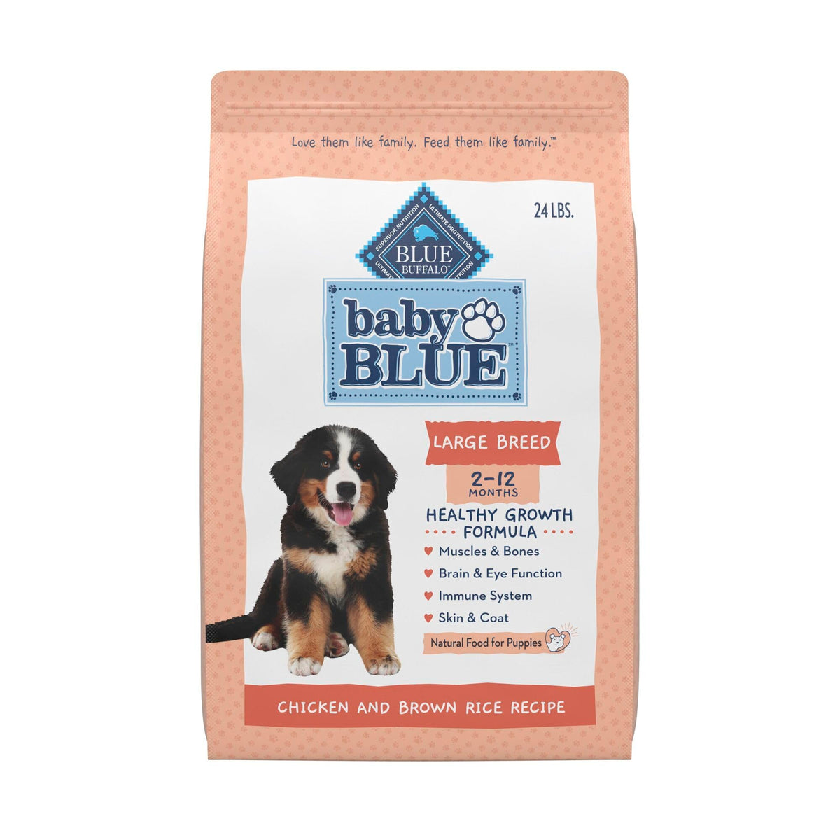 Large Breed Puppy Dry Dog Food Chicken and Brown Rice 24-lb Bag B727