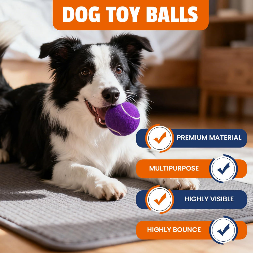 Colorful Tennis Balls for Dogs, 2.5 inches, 16 Pack R71888