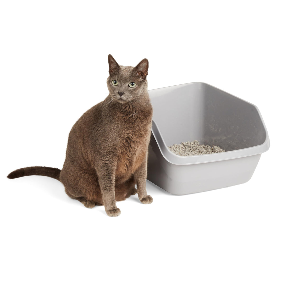 Grey Large High-Back Litter Box M17925