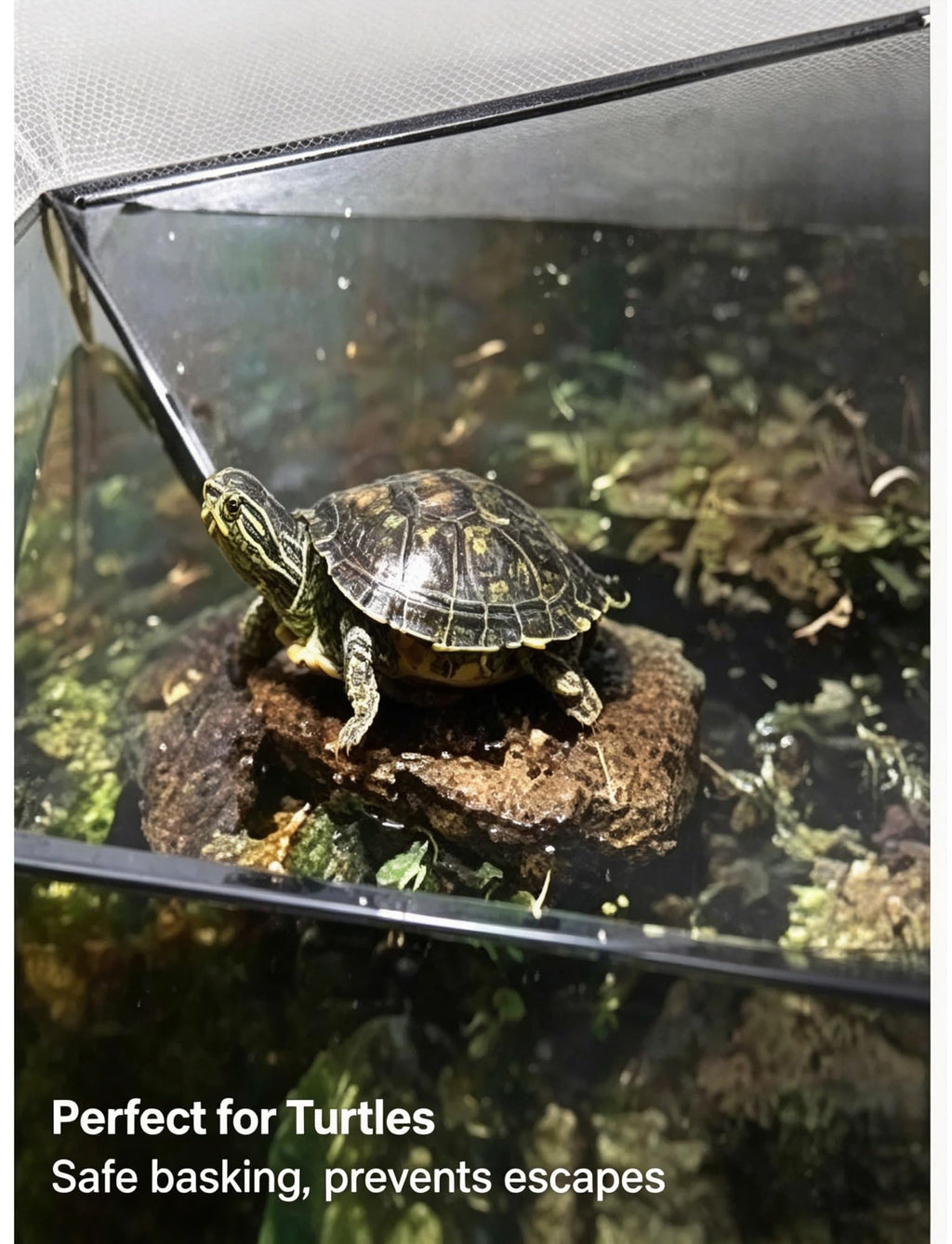 Aluminum Mesh Aquarium Lid for 10-20 Gallon Tanks T381316