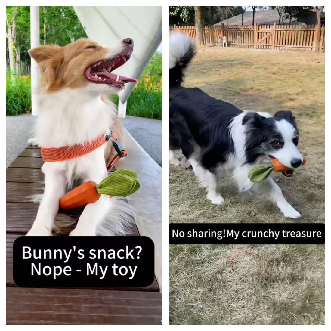 Rubber Squeaky Dog Chew Toys C7597
