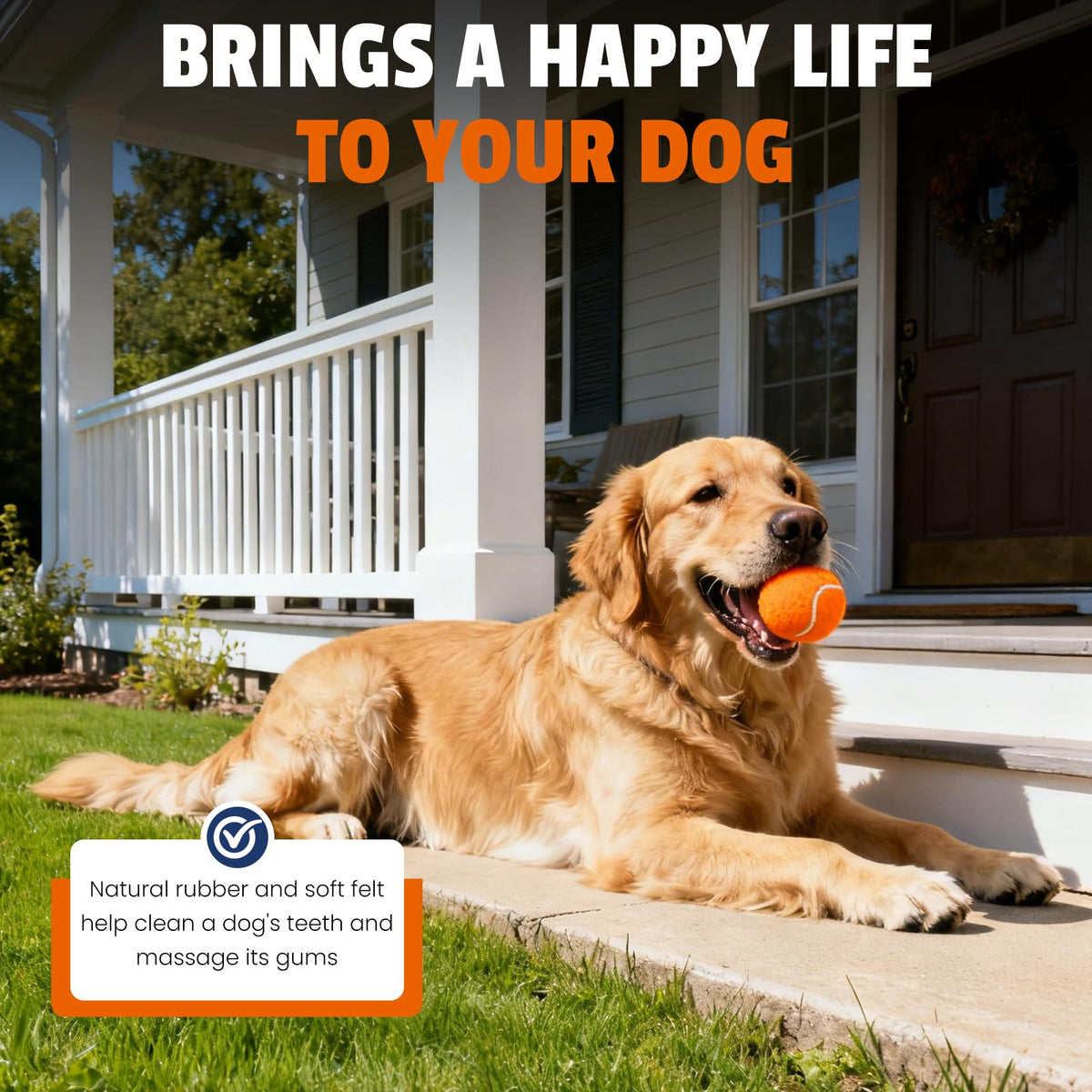 Colorful Tennis Balls for Dogs, 2.5 inches, 16 Pack R71888