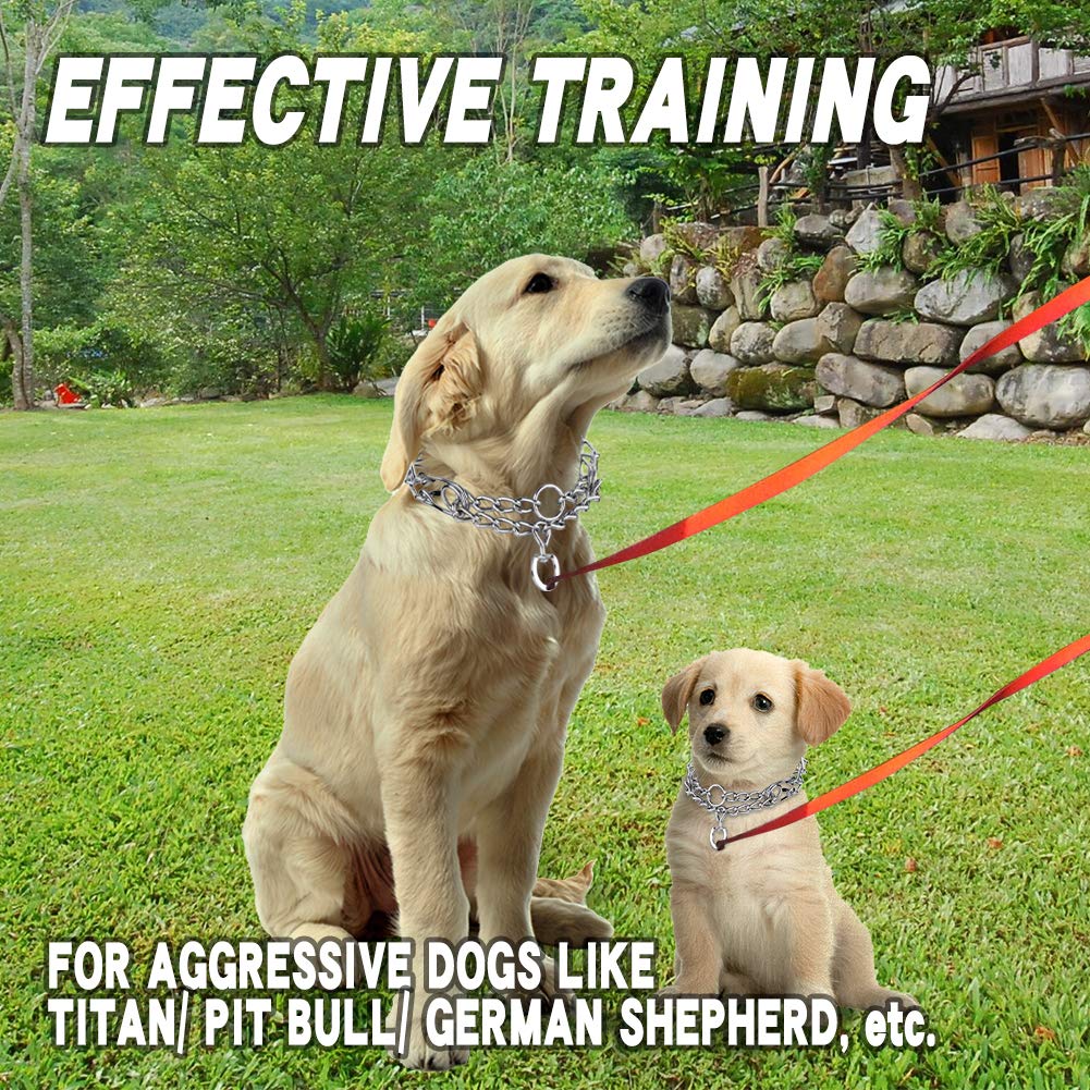 Stainless Steel Adjustable Dog Training Collar P8942