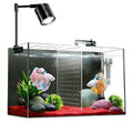 3 Gallon Ultra-Clear Glass Fish Tank with Filter and Led Light X538