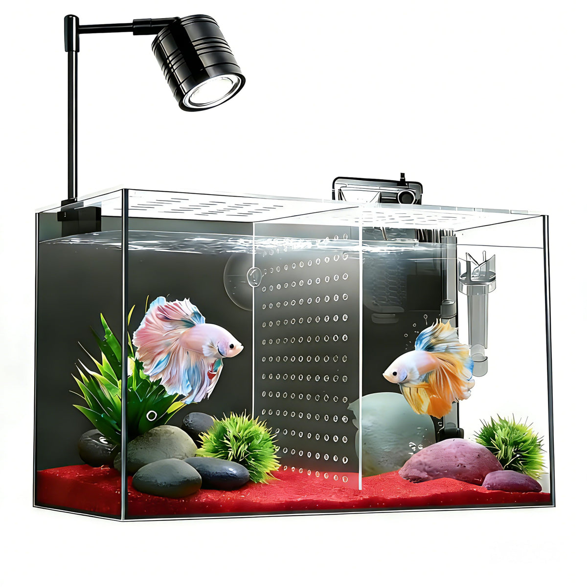 3 Gallon Ultra-Clear Glass Fish Tank with Filter and Led Light X538