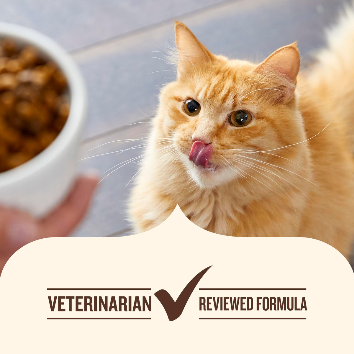 Chicken & Brown Rice Recipe Dry Cat Food 14 lb. Bag S364