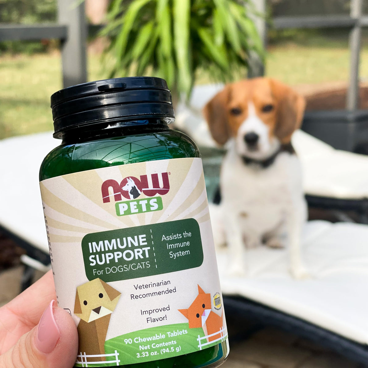 Immune Support Supplement for Cats & Dogs 90 Chewable Tablets J36722