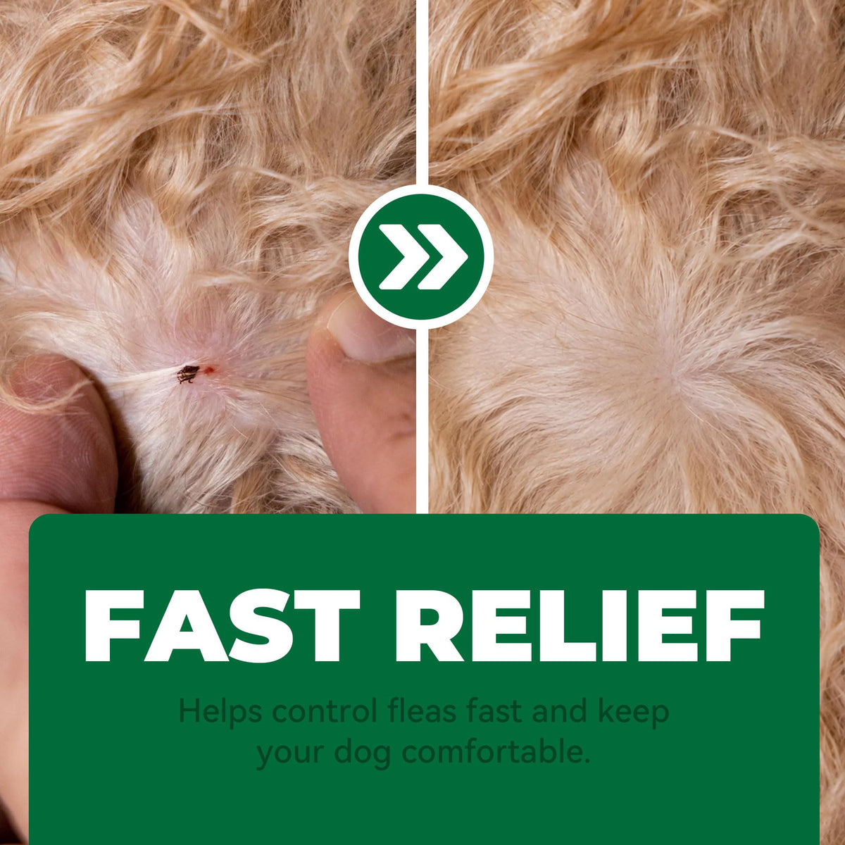 Flea and Tick Chews for Dogs 7.5 mg Soft Chews 30 Count S7589