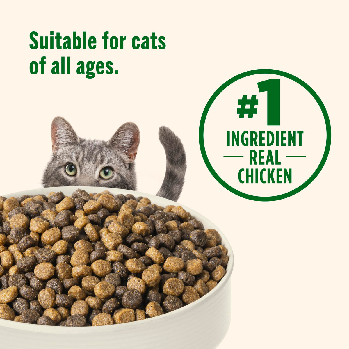 Chicken & Brown Rice Recipe Dry Cat Food 14 lb. Bag S364