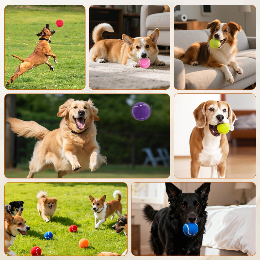 Colorful Tennis Balls for Dogs, 2.5 inches, 16 Pack R71888