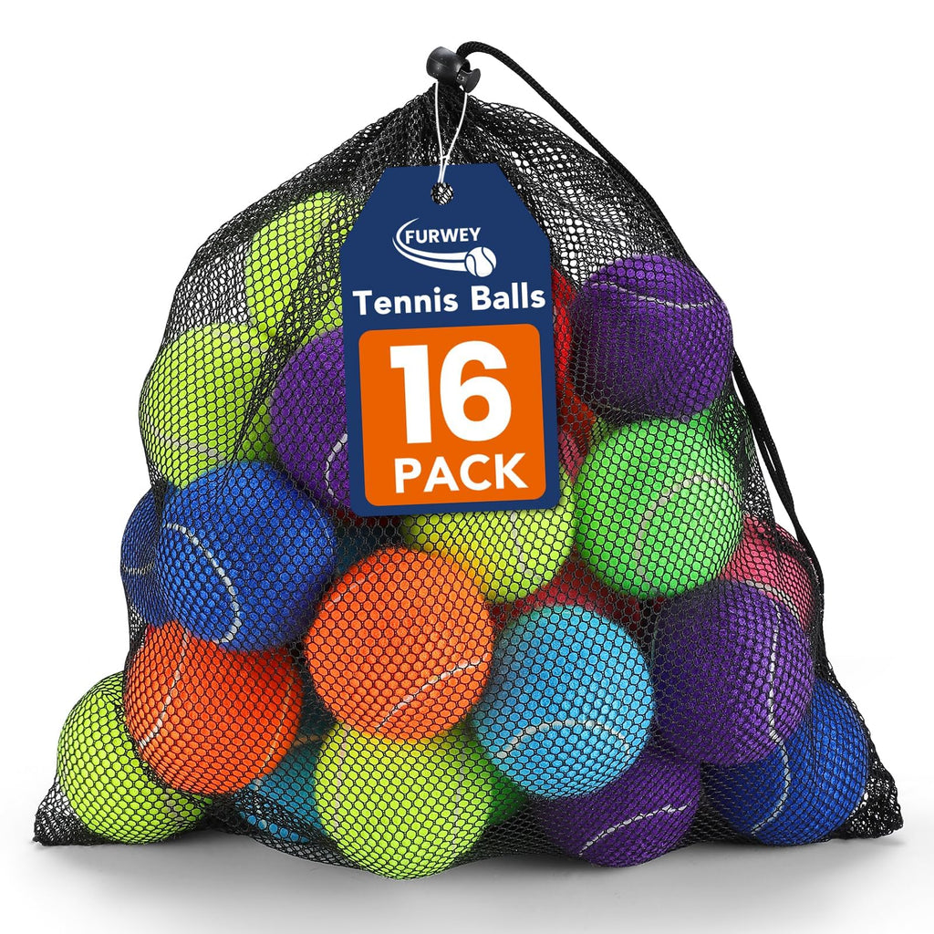 Colorful Tennis Balls for Dogs, 2.5 inches, 16 Pack R71888