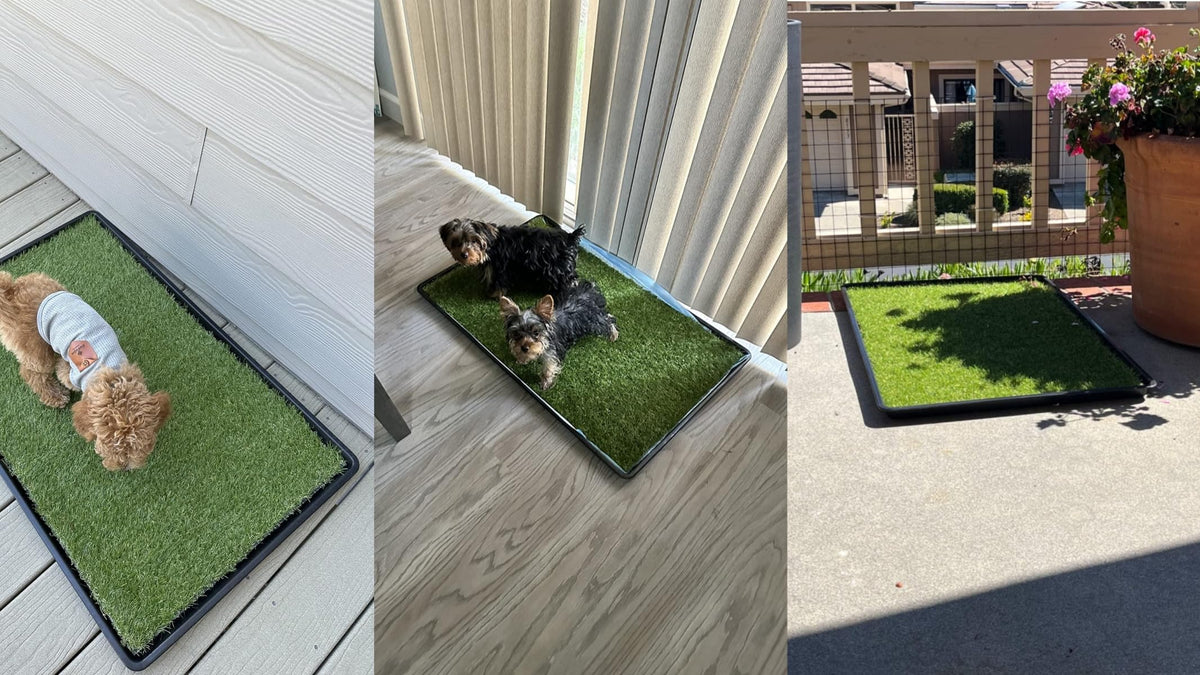 Dog Grass Pad with Tray 2-Pack 35 x 21.7 in S764392