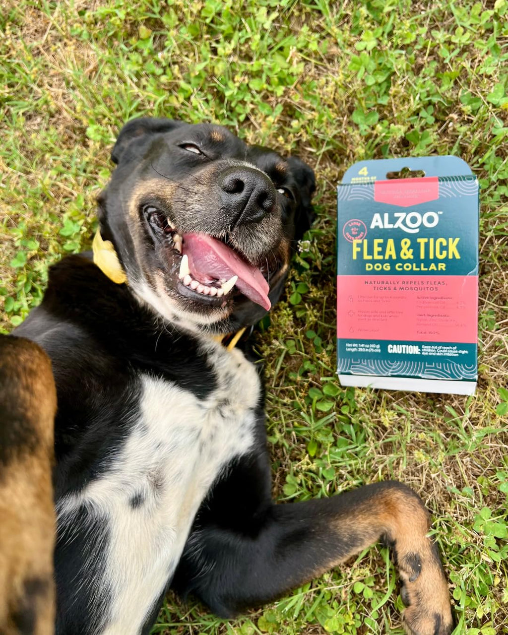 Plant Based Flea & Tick Dog Collar L1576