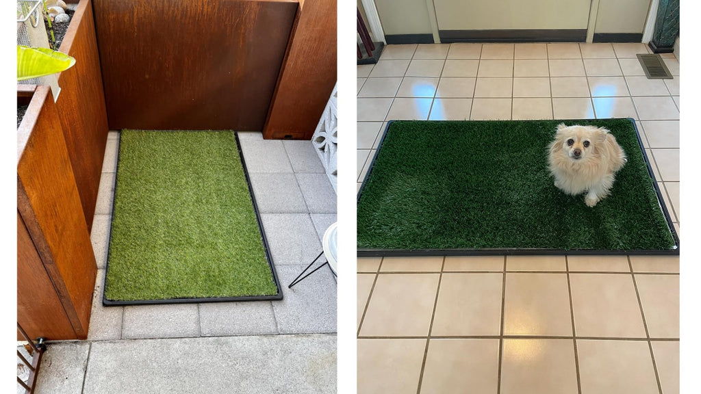 Dog Grass Pad with Tray 2-Pack 35 x 21.7 in S764392