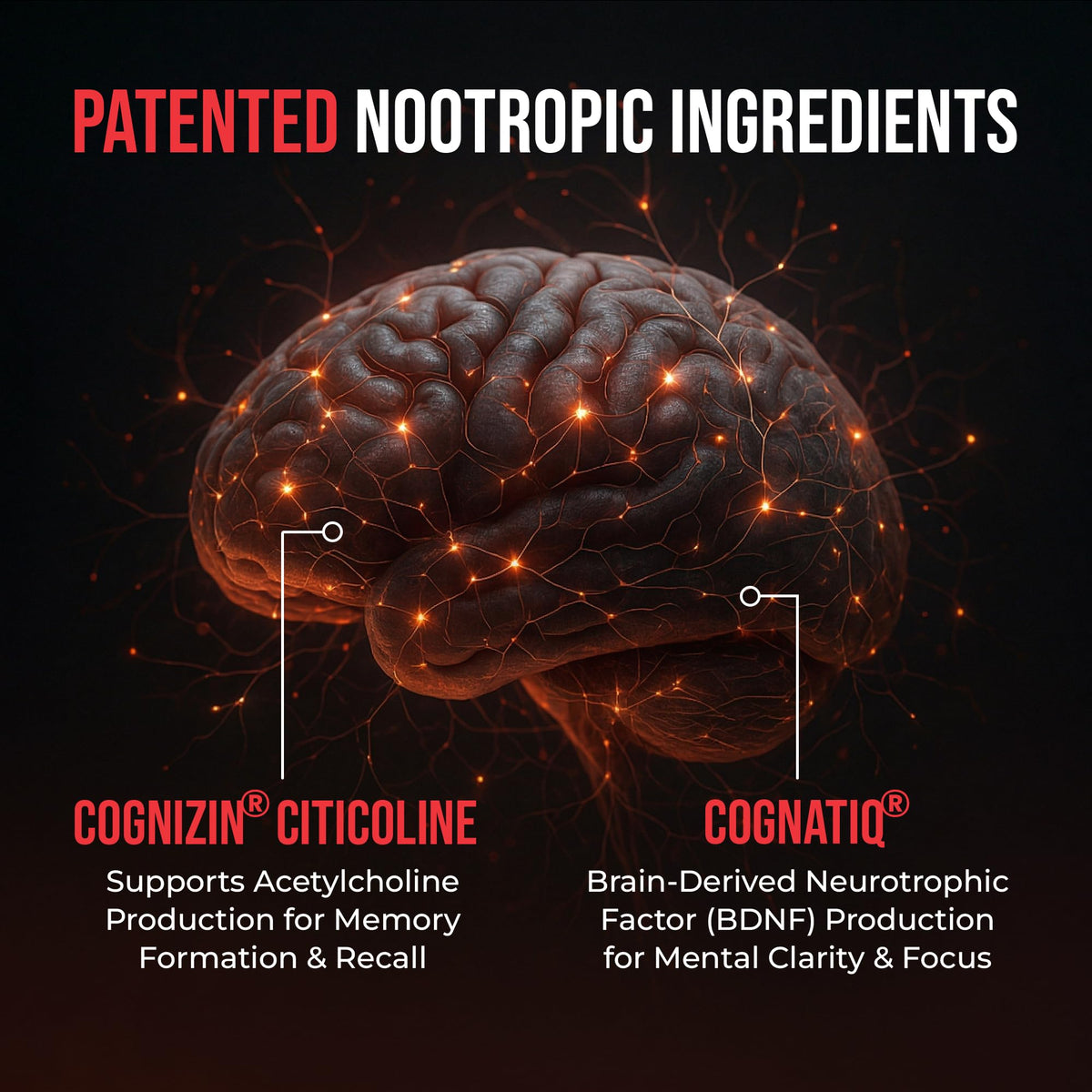 90 Capsules Nootropic Brain Supplement R242
