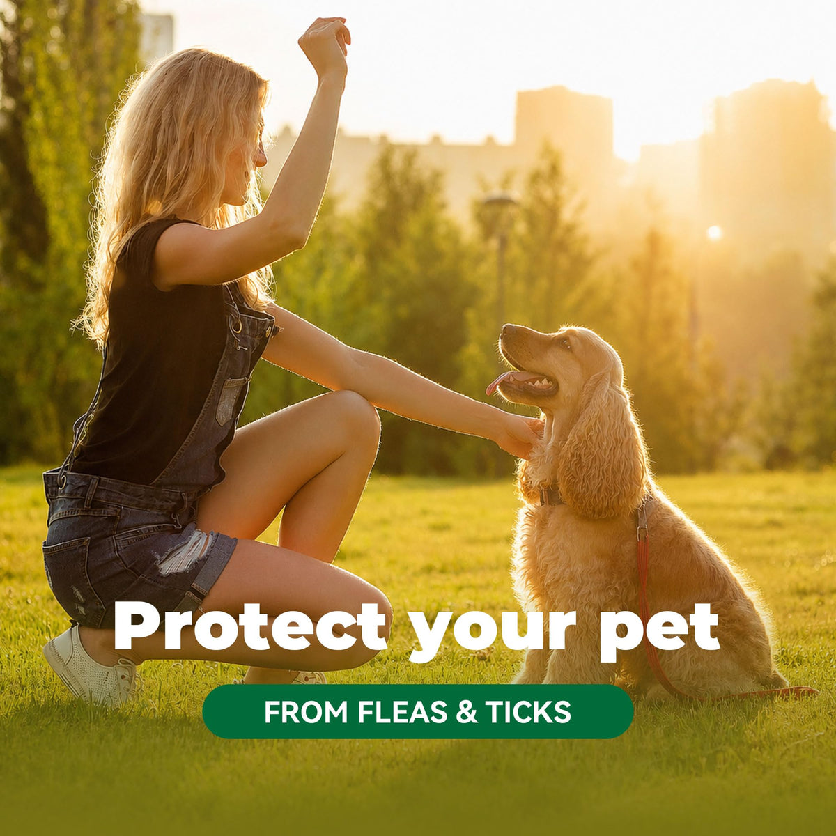 Flea and Tick Chews for Dogs 7.5 mg Soft Chews 30 Count S7589