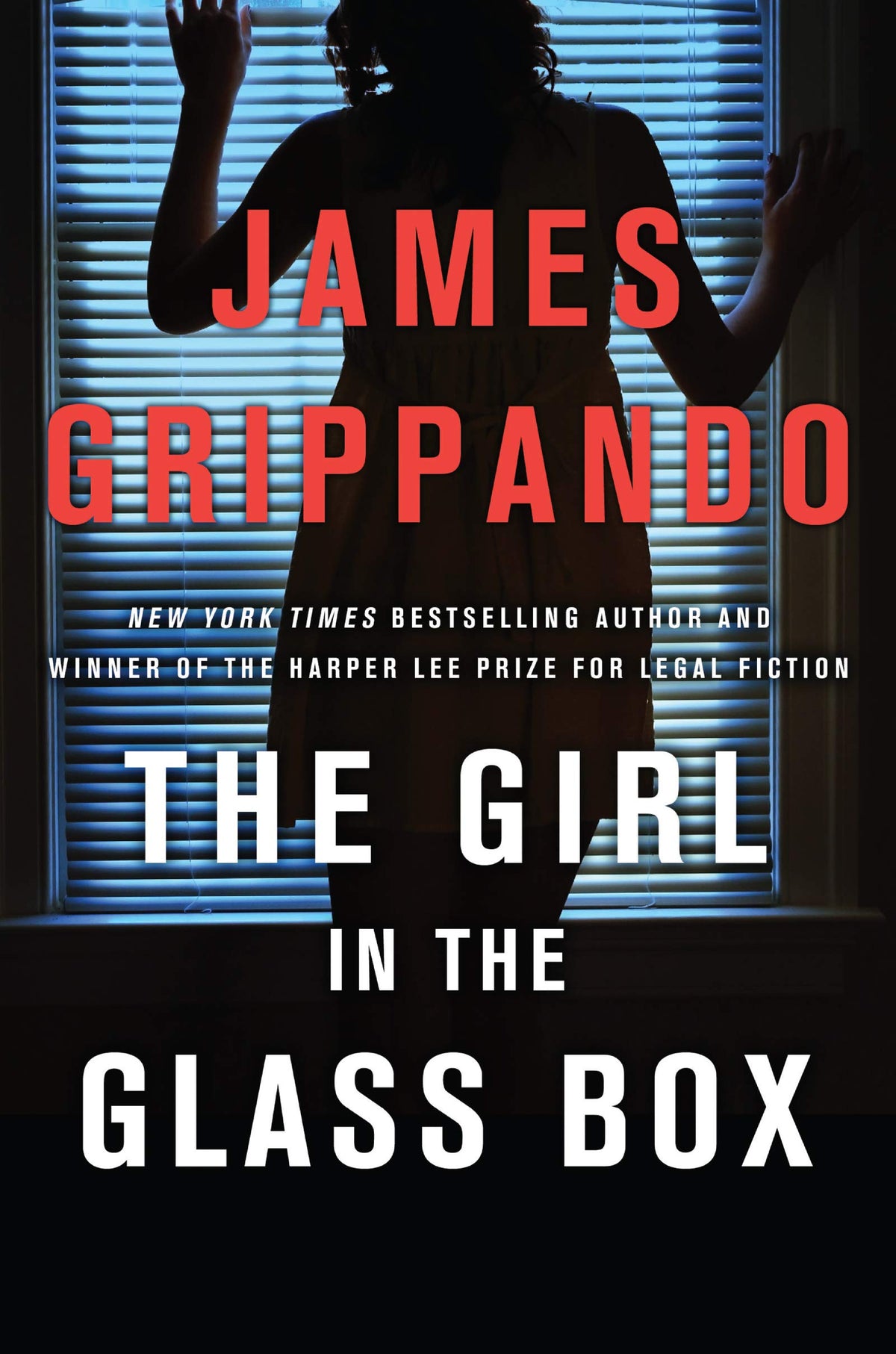 Legal Thriller D417260