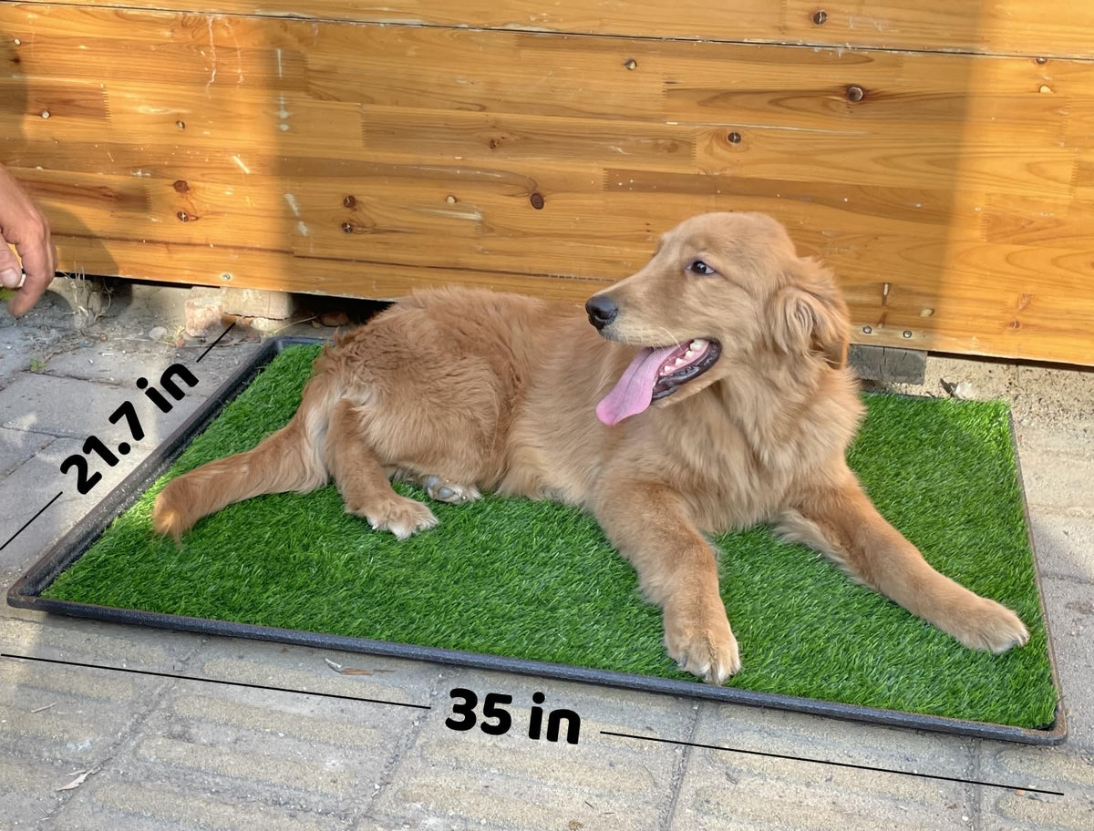 Dog Grass Pad with Tray 2-Pack 35 x 21.7 in S764392