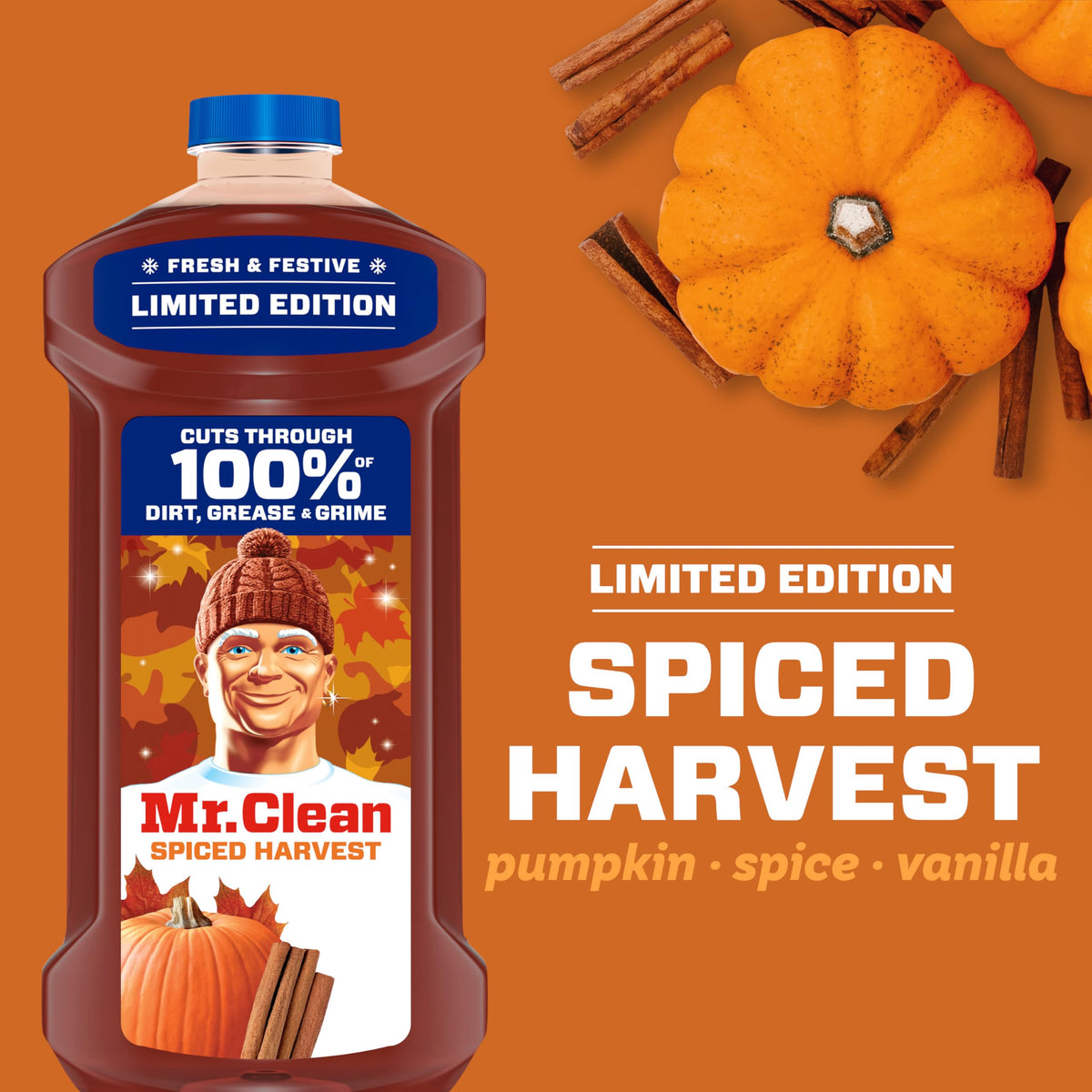 All Purpose Cleaner, Spiced Harvest, 41oz F123