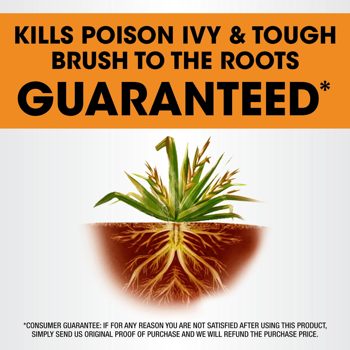 32 fl. oz. Concentrate Brush Killer E47269