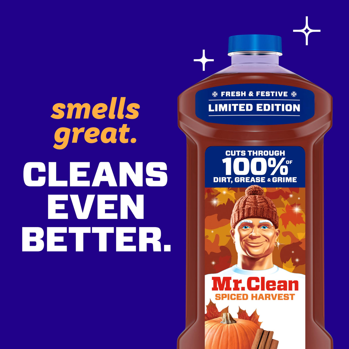 All Purpose Cleaner, Spiced Harvest, 41oz F123