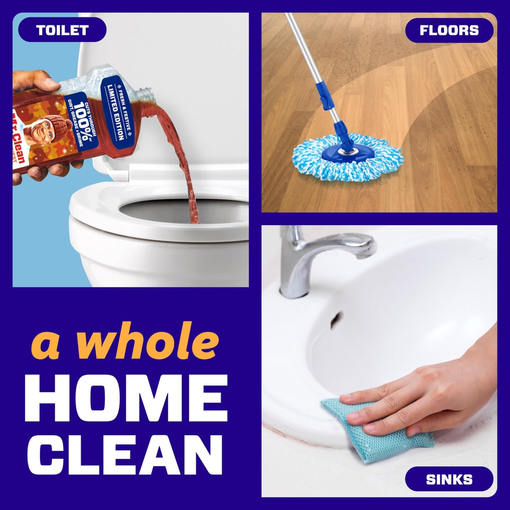 All Purpose Cleaner, Spiced Harvest, 41oz F123