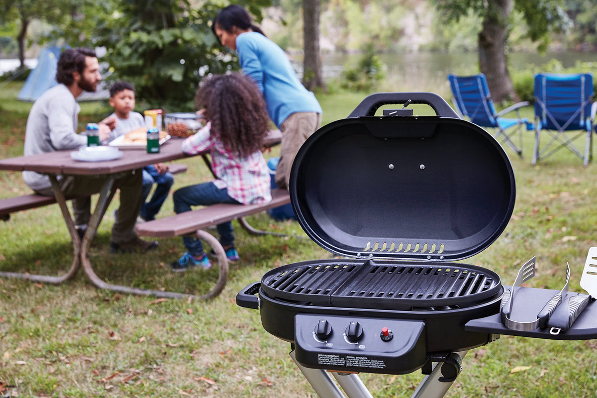 Portable 2-Burner Propane Gas Grill V82923