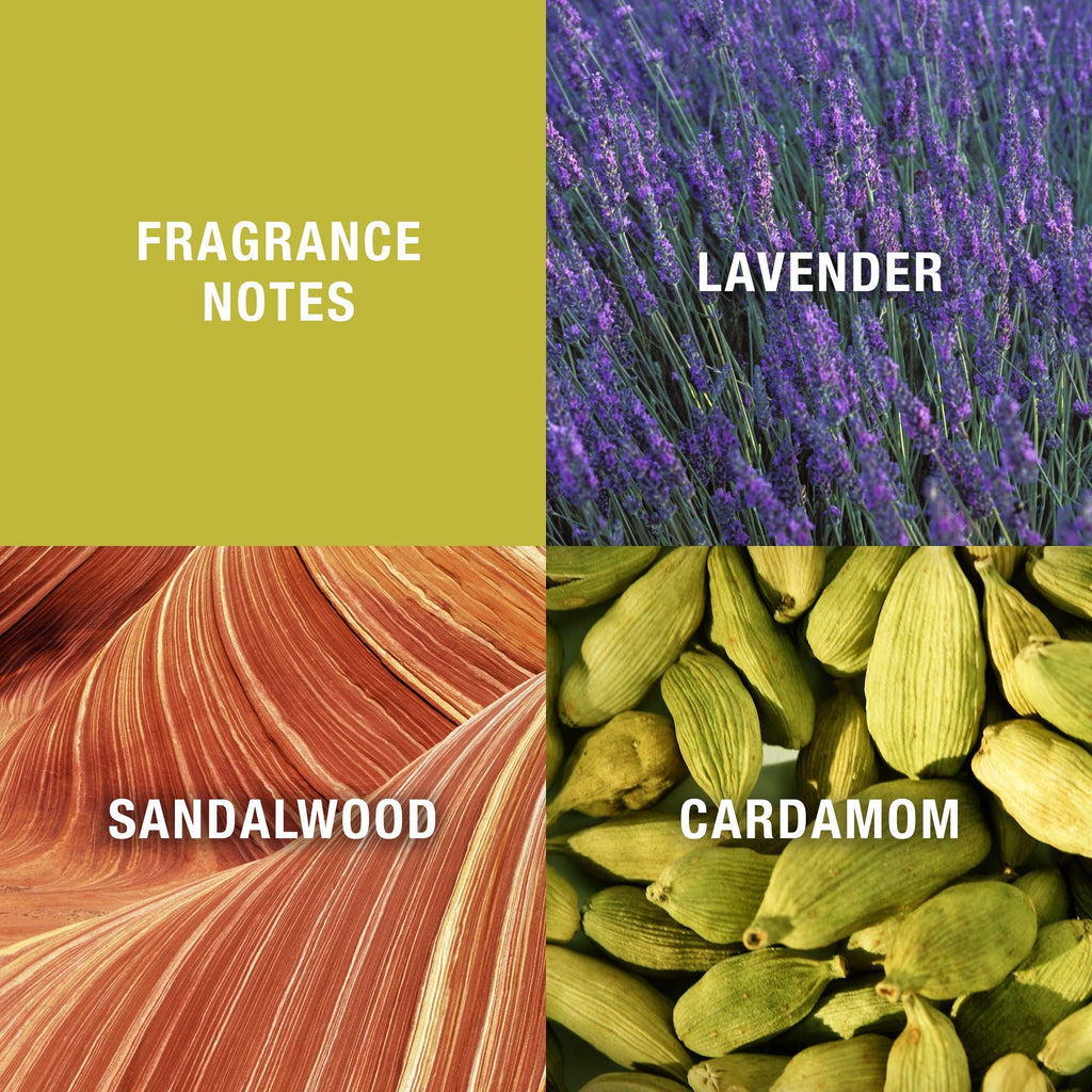 Men's Cologne Fragrance Spray 6.8 Fl Oz & 4.2 Fl Oz M62303