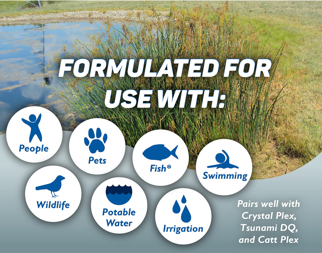 Aquatic Surfactant Quart H277